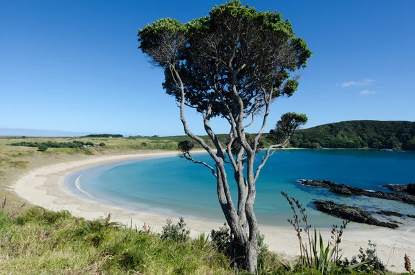 depositphotos_41971287-stock-photo-karikari-peninsula-new-zealand